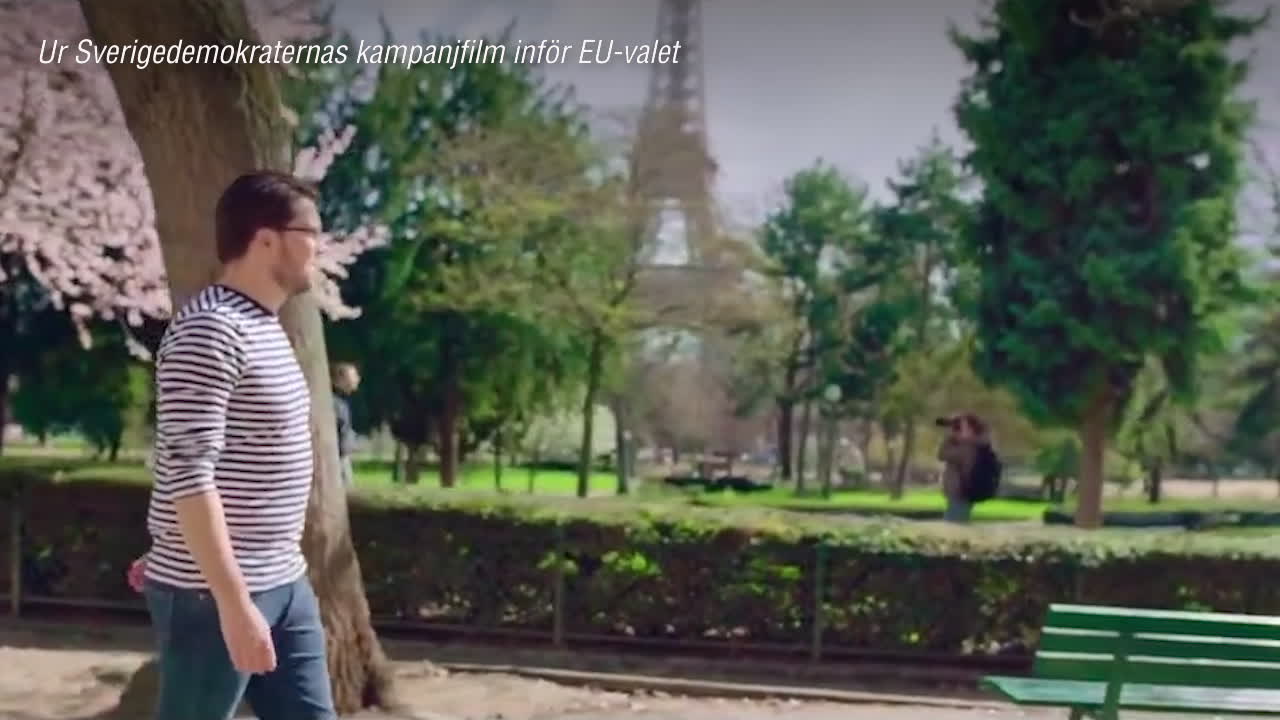 Jimmie Åkesson bär Zlatan-tröja – i SD:s valfilm