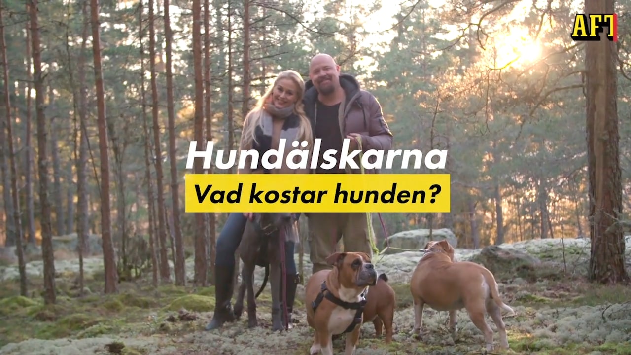 Anders Bagge: Hunden kan gnaga sönder flygelbenet