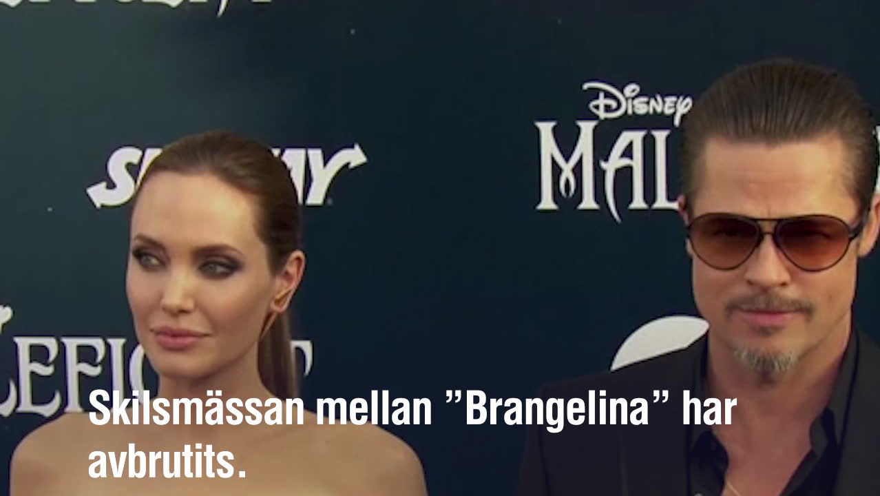 ”Brangelina” pausar skilsmässan