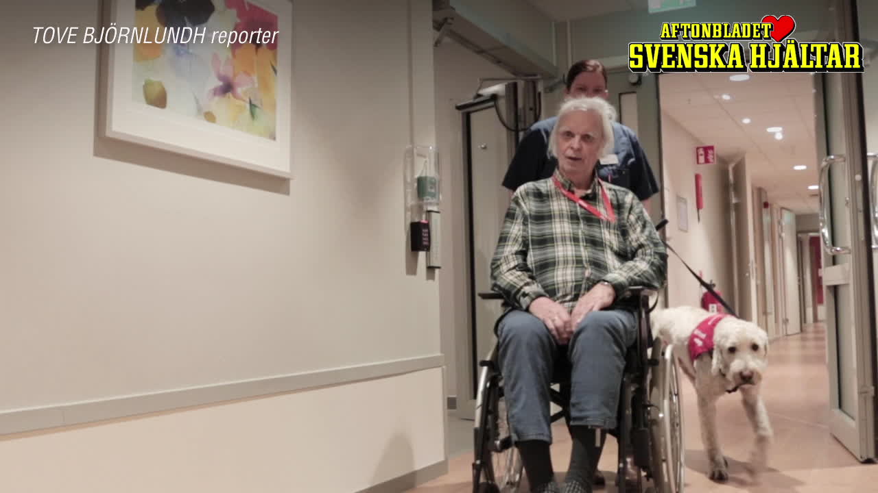Vårdhunden Primus sprider glädje på demensboende