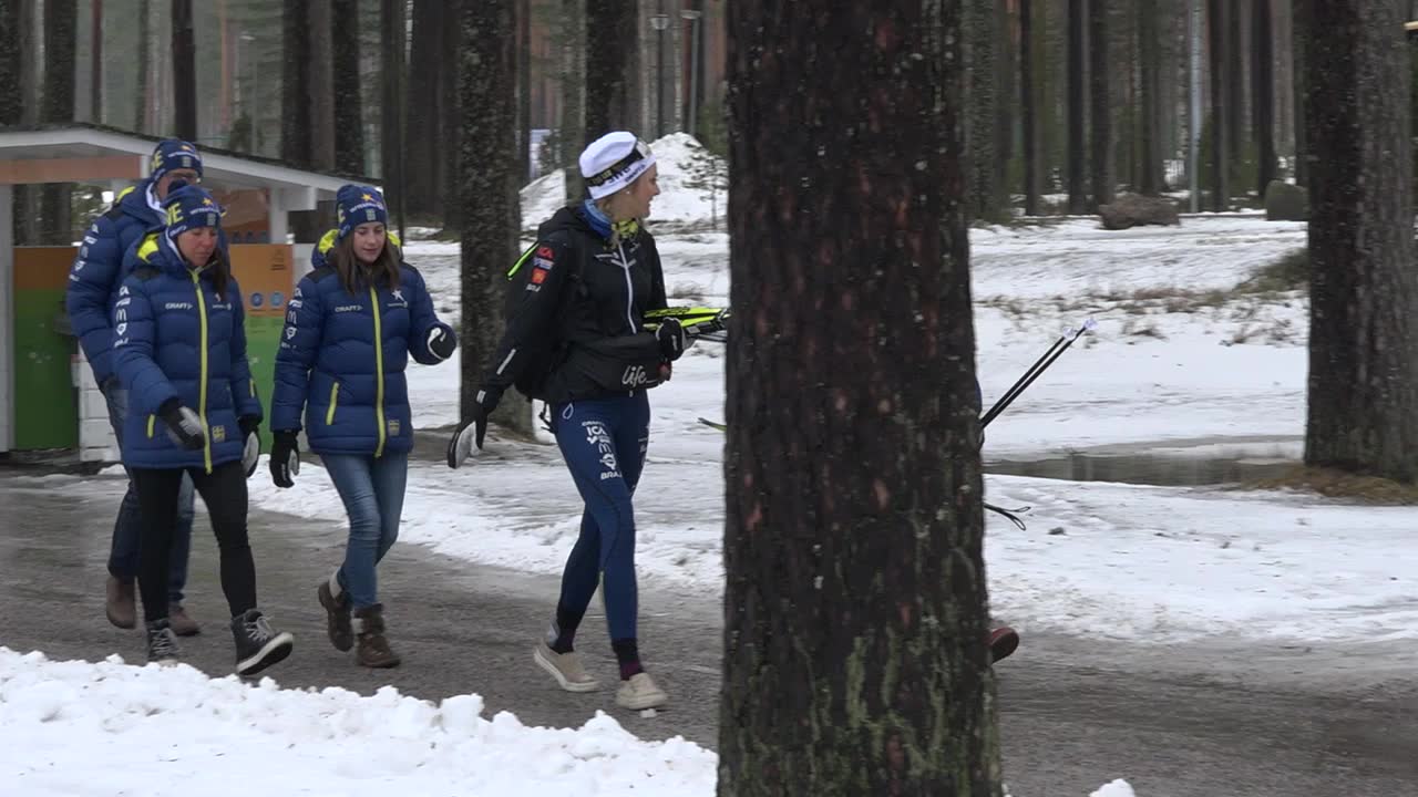 Thorén: "De norska lejonen kommer slita henne i stycken"