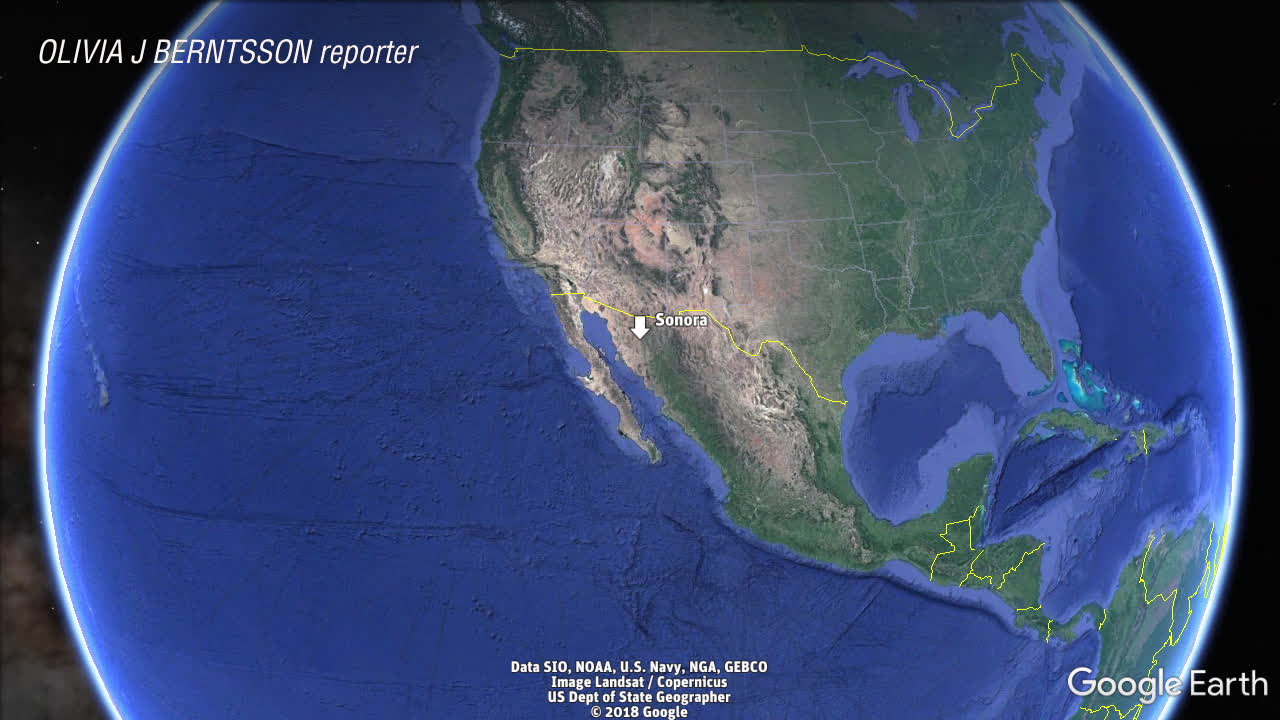 Brutala mord i Mexiko: ”En helt ny nivå av kartellvåld”