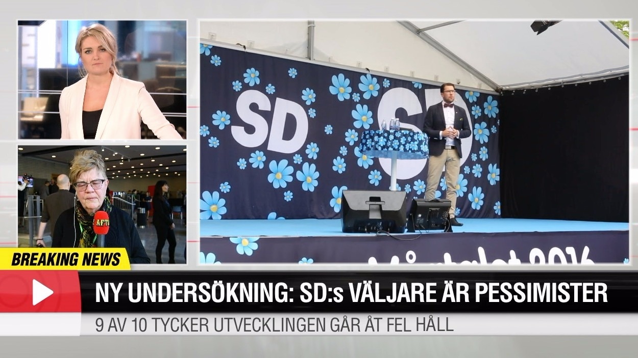 Ny undersökning: SD:s väljare är pessimister