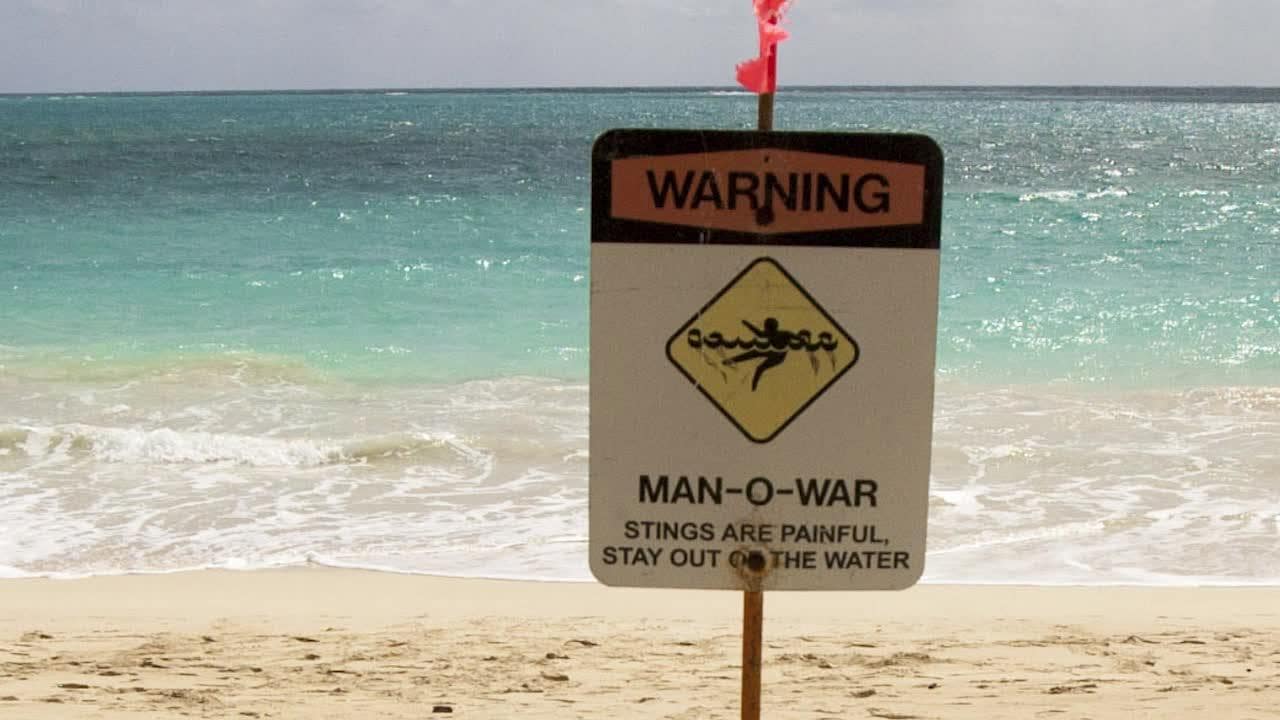 Manetlarm stänger stränder i Thailand