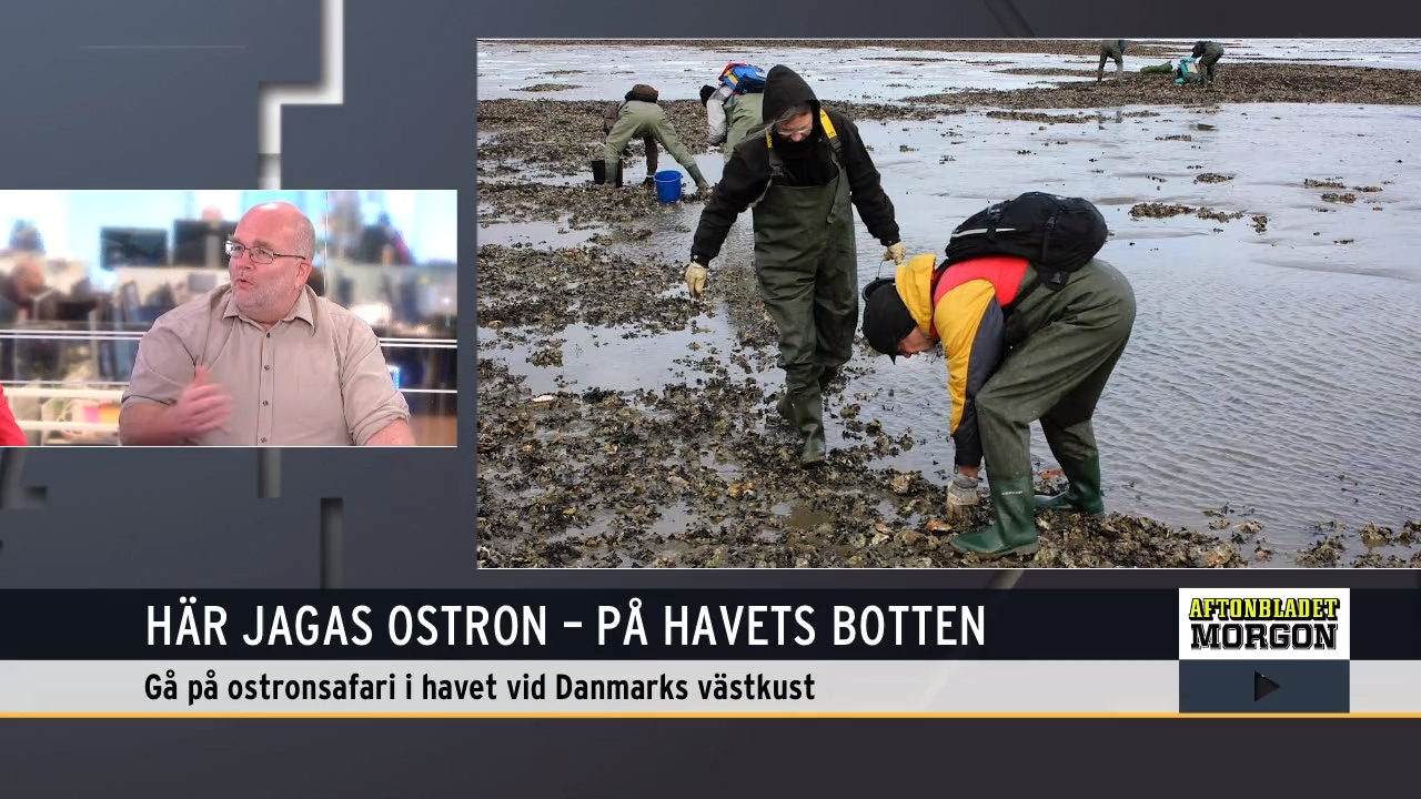 Tre heta tips för semester i Skandinavien