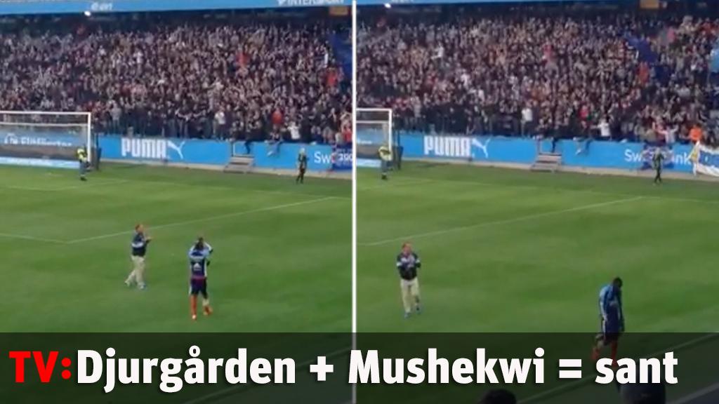 Djurgårdens IF + Mushekwi = sant