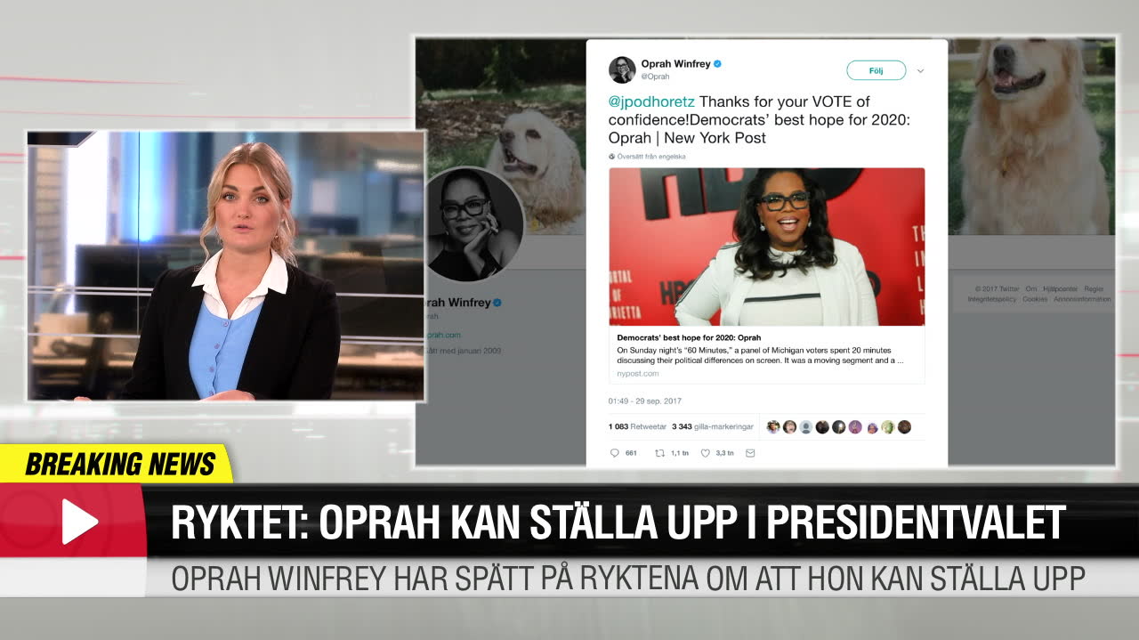 Ryktet: Oprah kan ställa upp i presidentvalet