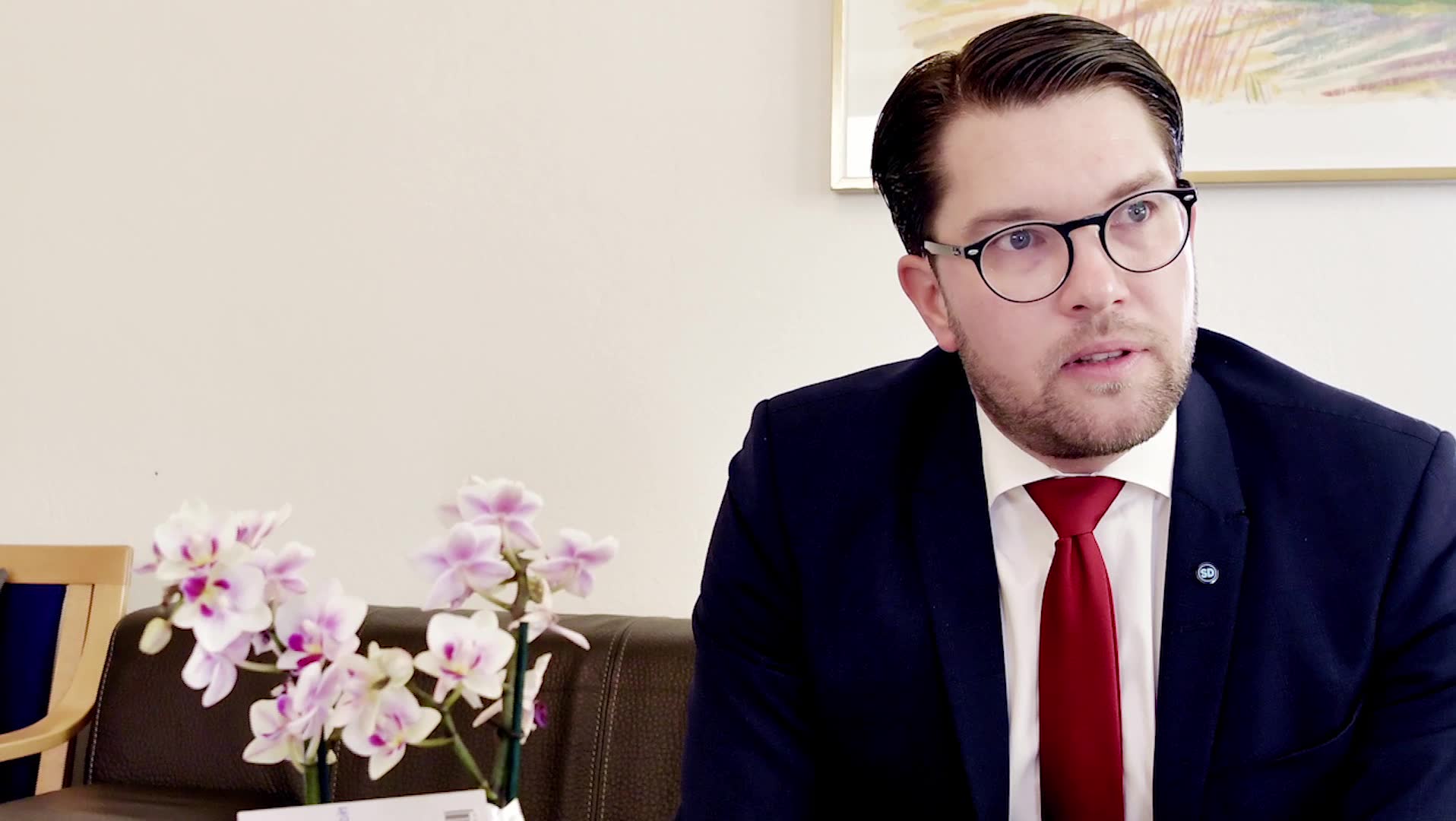 Jimmie Åkesson om uthängde pojken: “Uppenbarligen så gammal som det sades”