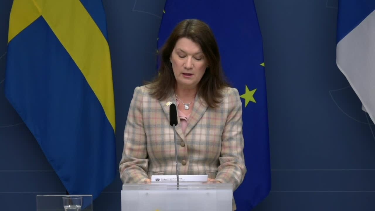 Hultqvist: ”Det finns ett hot mot den europeiska säkerhetsordningen”