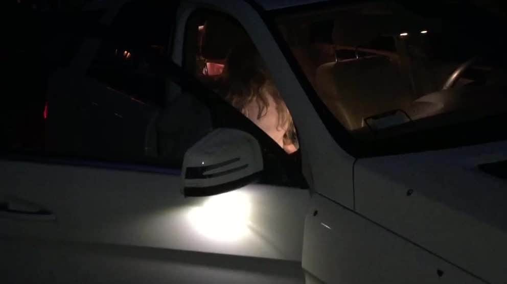 Gunilla Perssons katt hittad vid liv