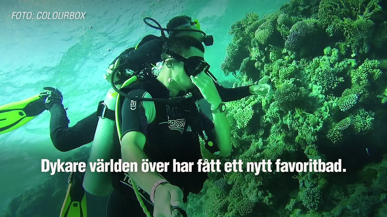 Unik simbassäng ska slå rekord i Polen