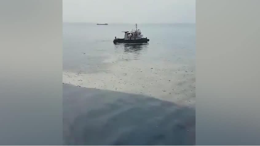 Experten om det störtade planet i Indonesien