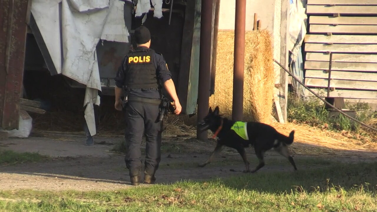 Polisen om sökandet efter Dante, 12: ”Lagt alla resurser vi har”