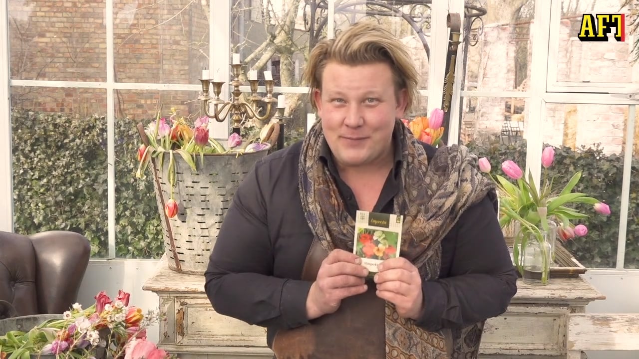 Här är fröerna du inte kan misslyckas med