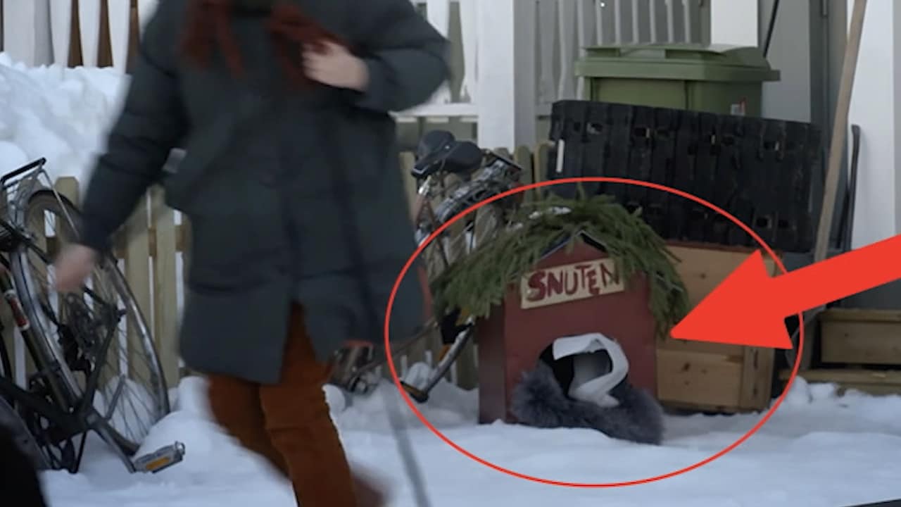 Fadäser, missar och blunders – här är skavankerna i årets julkalender