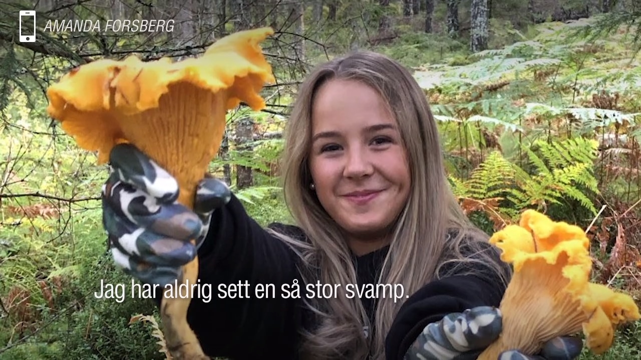 Här hittar Amanda jättesvampen: "Oh, shit"