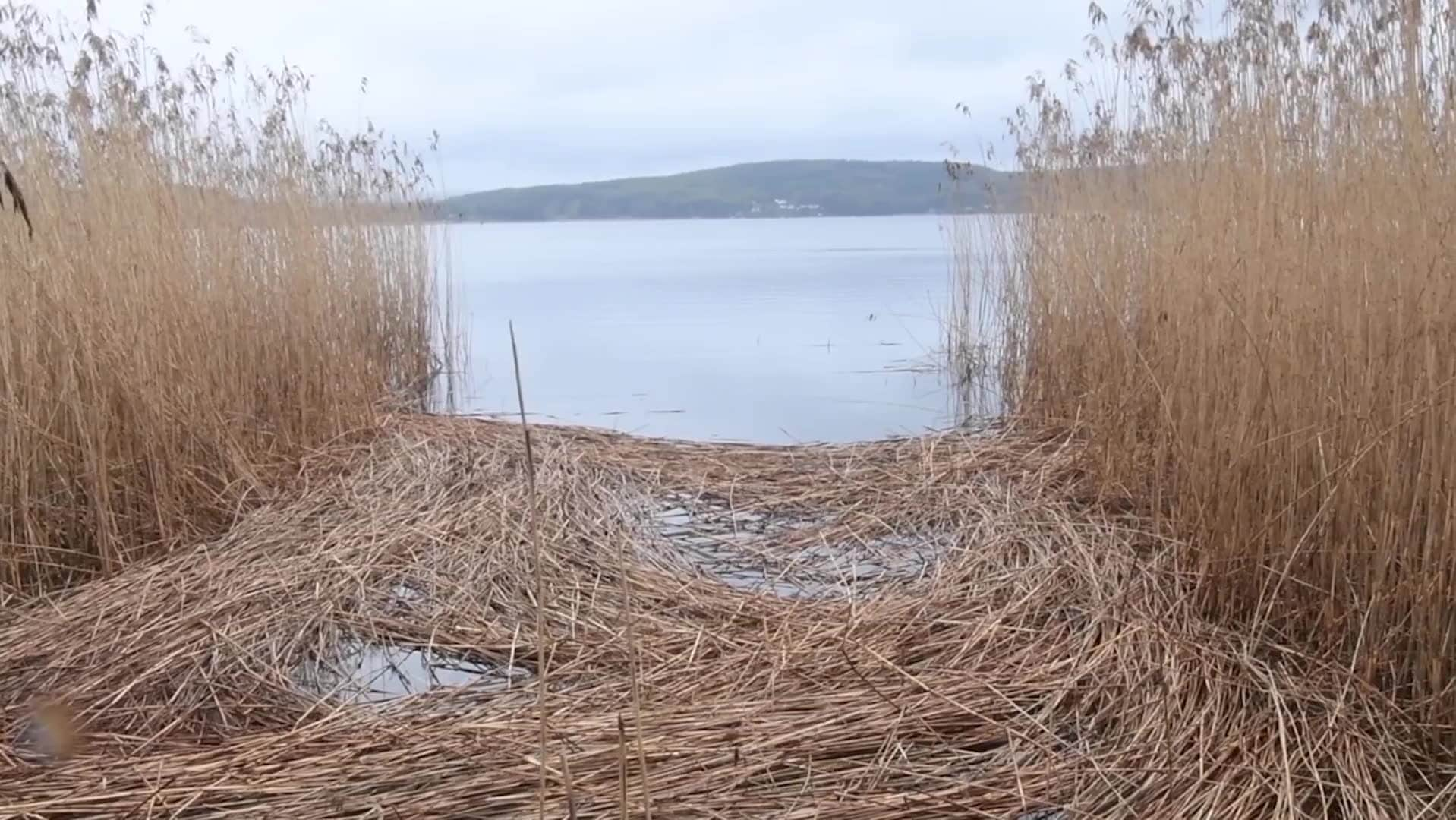 Fallet Kevin – vad var det egentligen som hände?