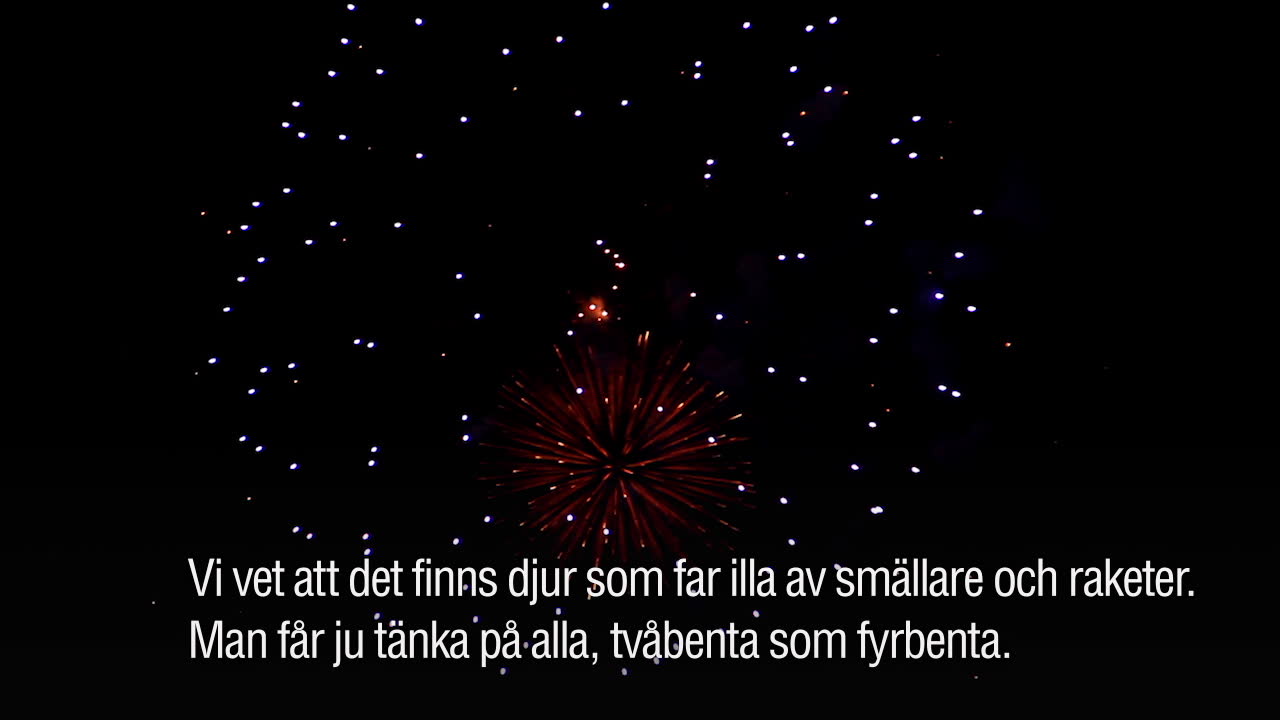 Dansbandsveckan slopar fyrverkerier för djurens skull