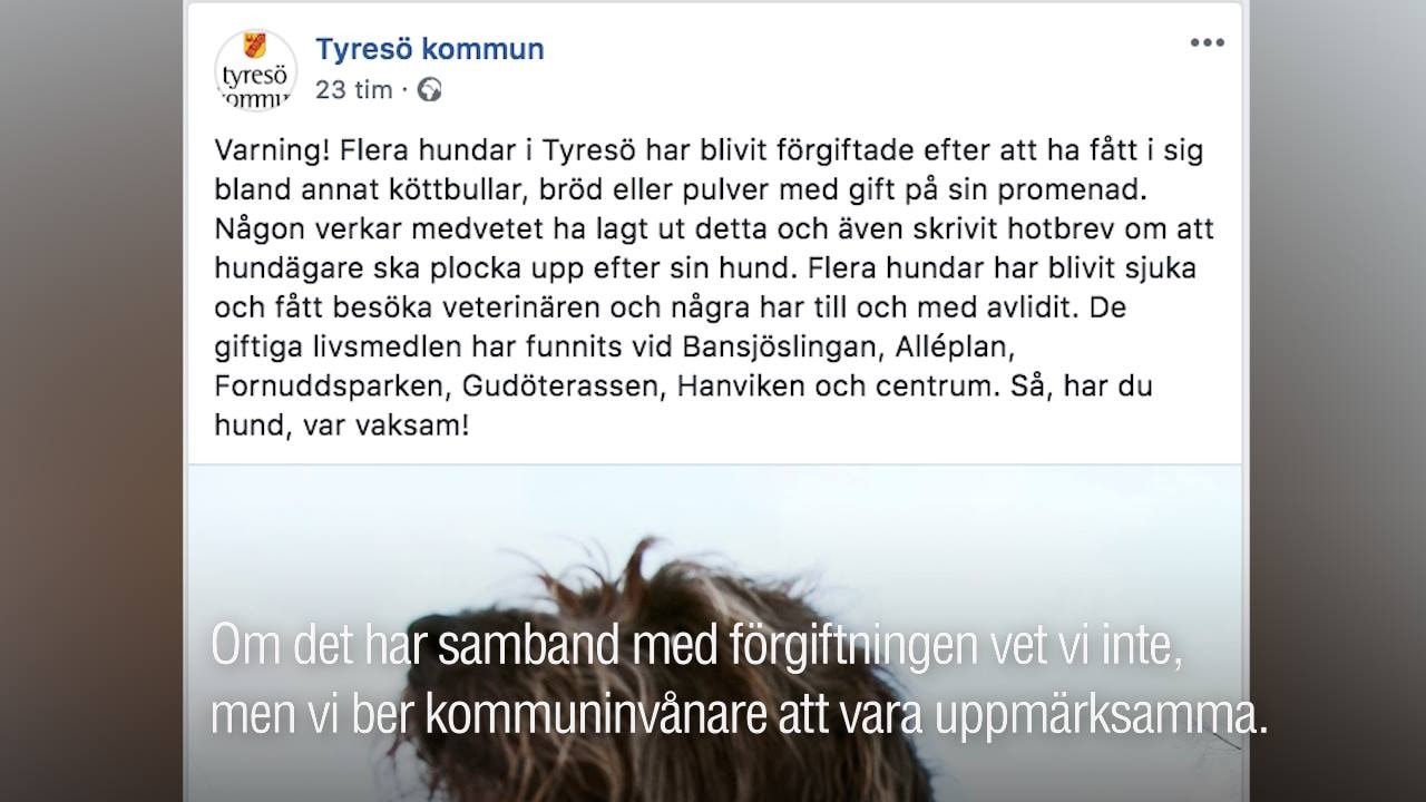 Hotet till hundägare plocka upp – annars lägger jag ut gift