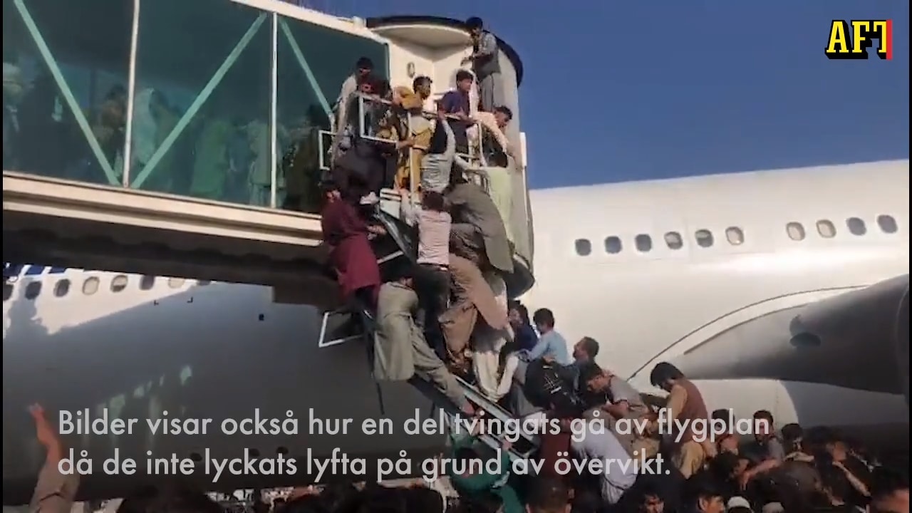 Kaos på Kabuls flygplats - människor flyr för sina liv