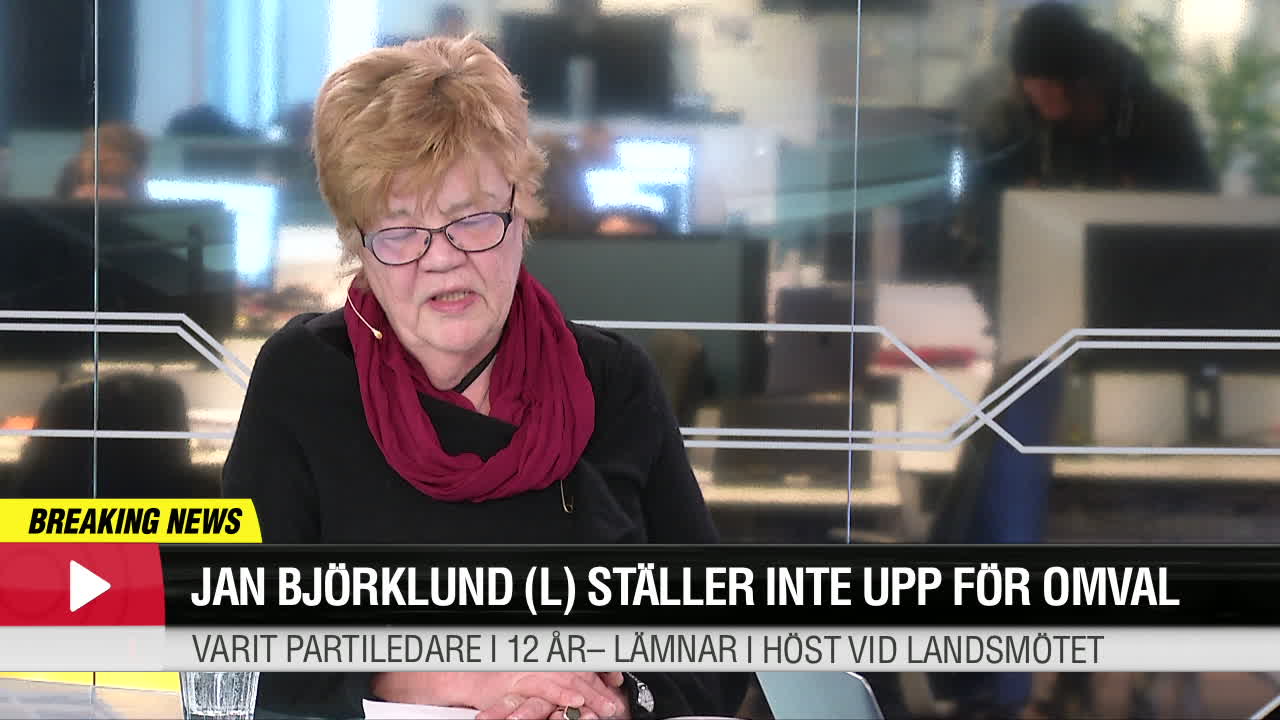 Lena Mellin: Det här kan bli Björklunds efterträdare