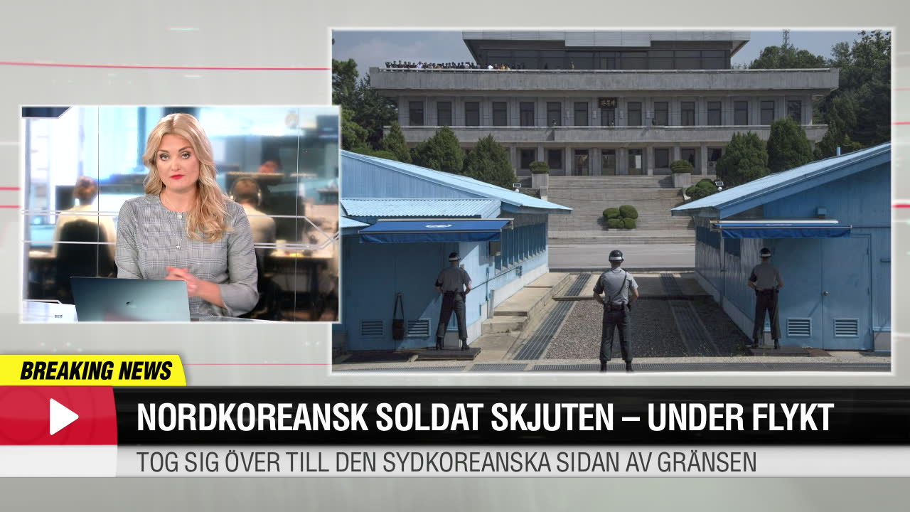 Nordkoreansk soldat skjuten-under flykt