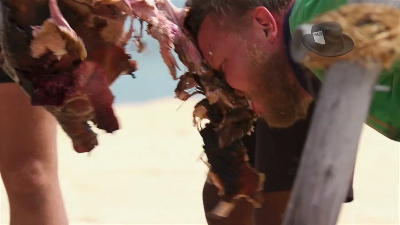 Robinson-deltagaren tappar tänderna i grisen