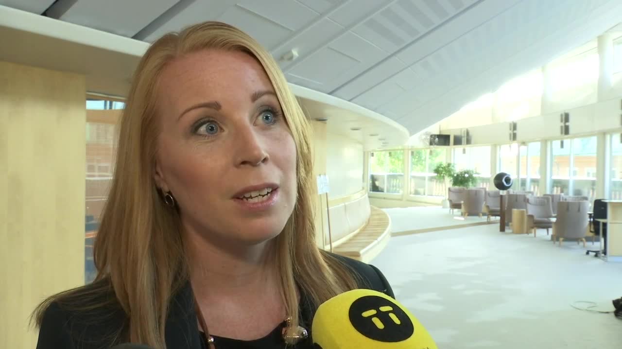 Annie Lööf: ”Mycket mer som behöver komma upp på bordet”