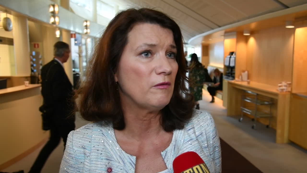 Sveriges nya utrikesminister Ann Linde om de viktigaste utmaningarna