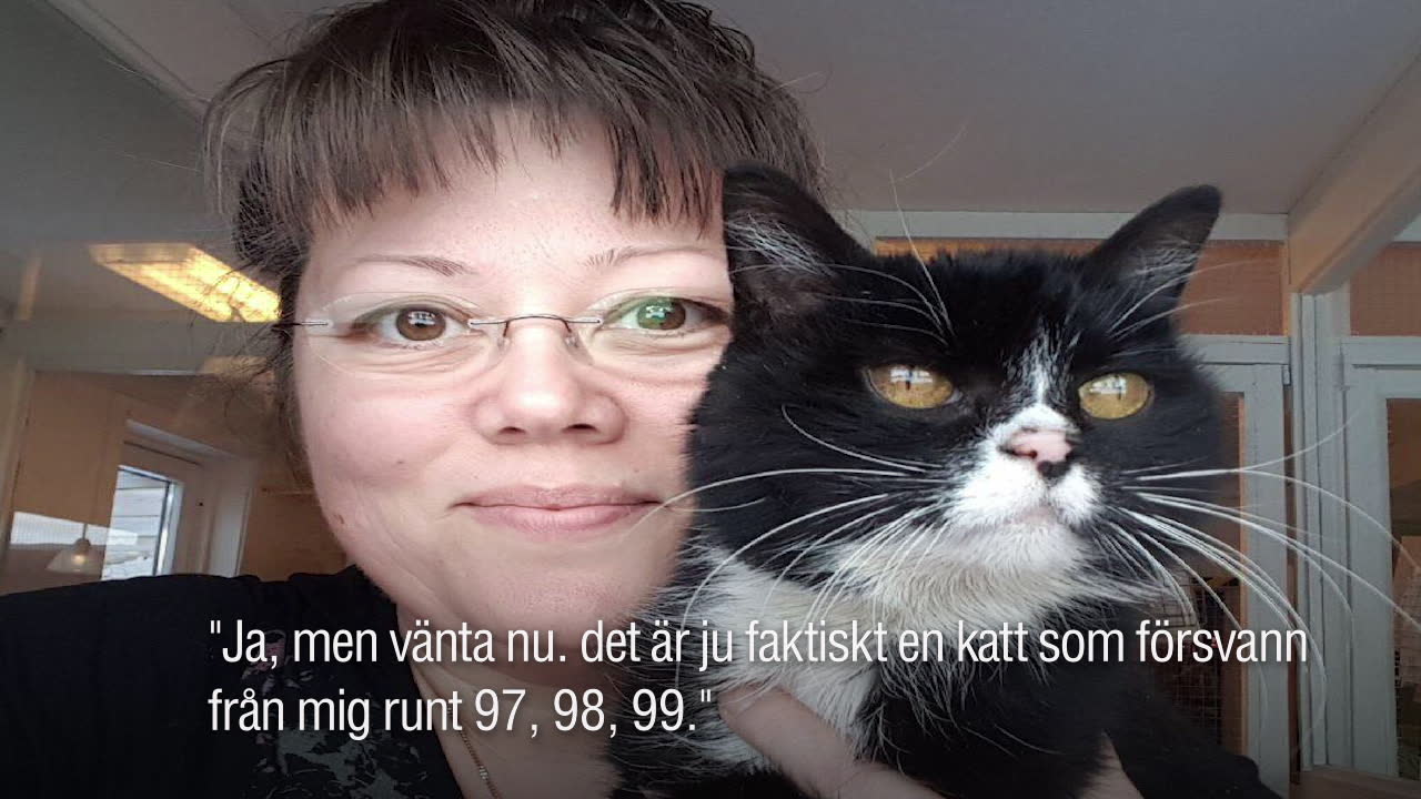 Så hittades katten Linnéa – efter 20 år