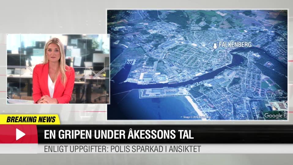 En gripen under Åkessons tal