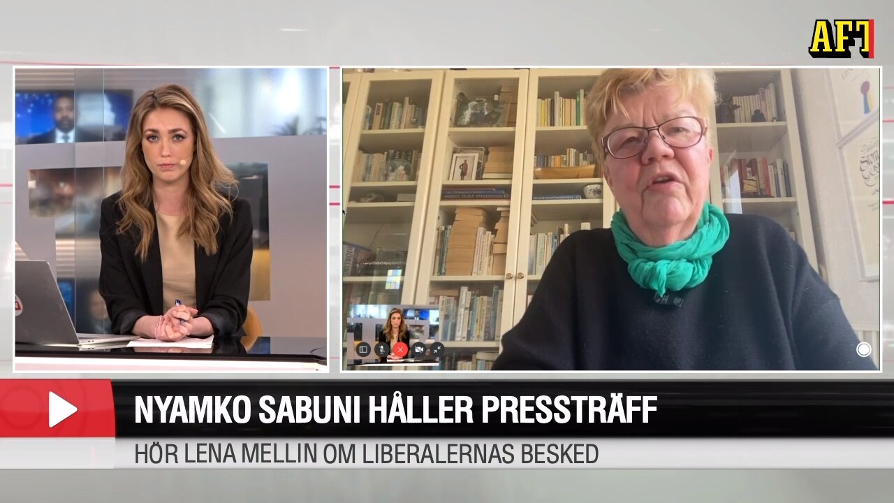 Lena Melin förklarar Liberalernas nya linje