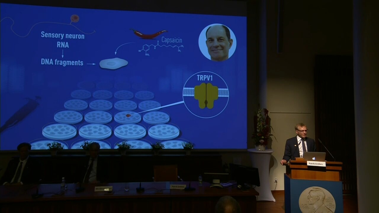 Fördjupning: Här förklarar de vad upptäckten är och betyder