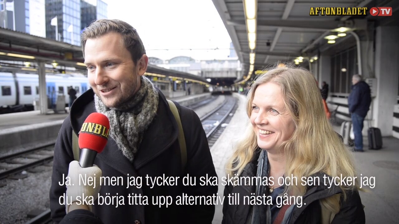 Tåg istället för flyg: Här är bästa tipsen