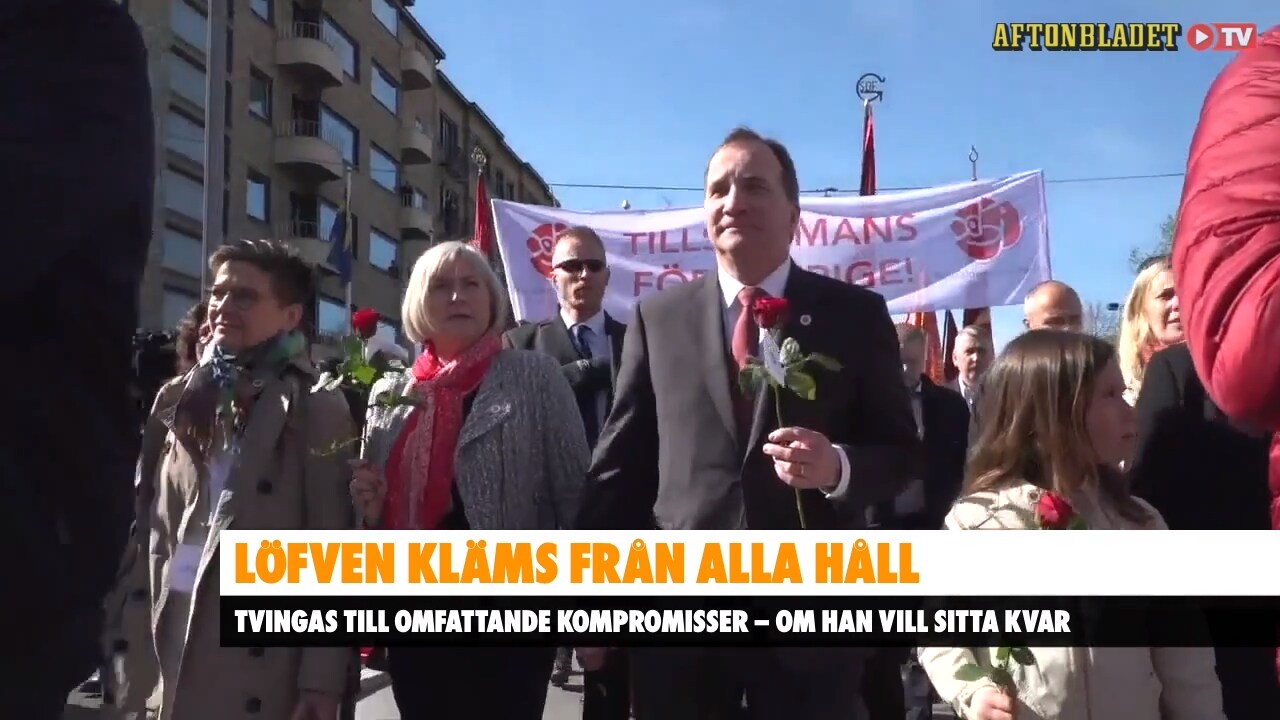 Lena Mellins sågning av politikerna: ”Dåliga, väldigt oansvarigt”