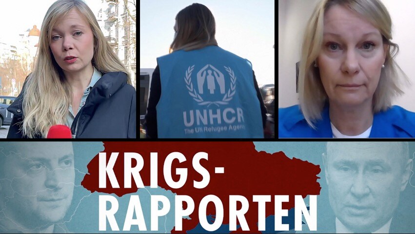 Krigsrapporten 25 mars – UNHCR i Ukraina: ”Lever i centrum av flyganfallen"