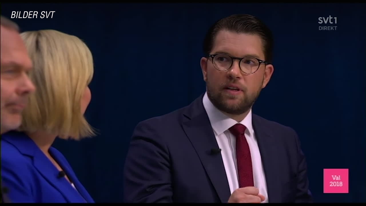 Se Åkessons kritiserade uttalande: "De passar inte in"