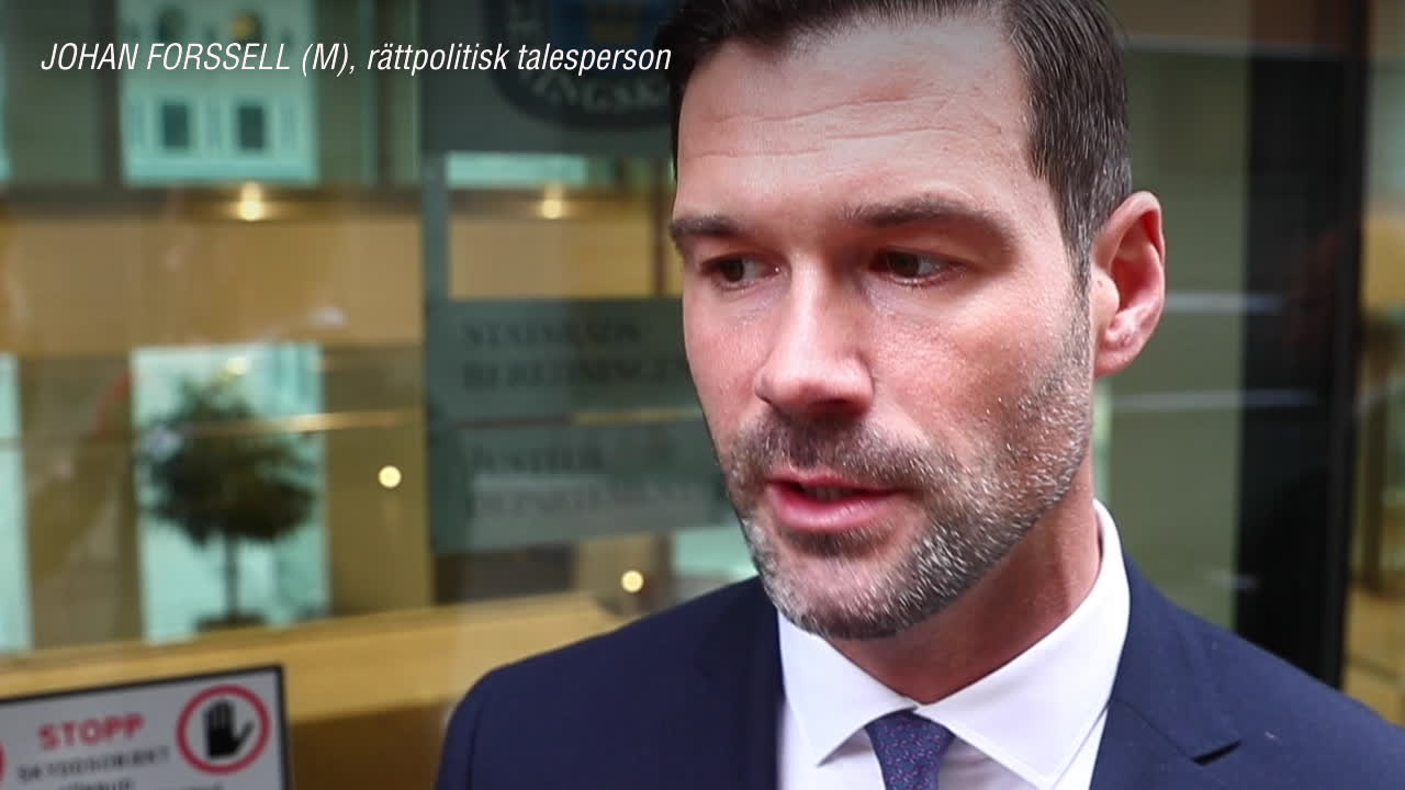 Johan Forssell (M): Regeringen har inte kommit med tillräckligt