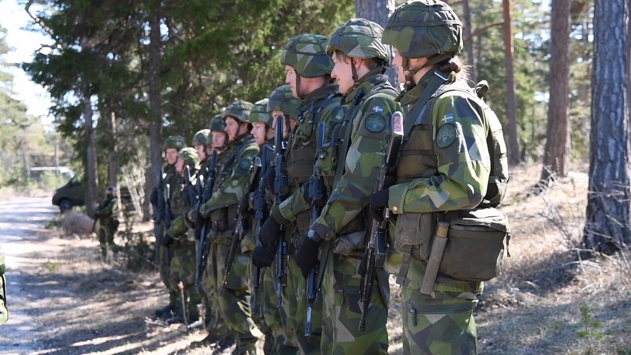 Stefan Löfven (S): "Vi måste höja vår försvarsförmåga"