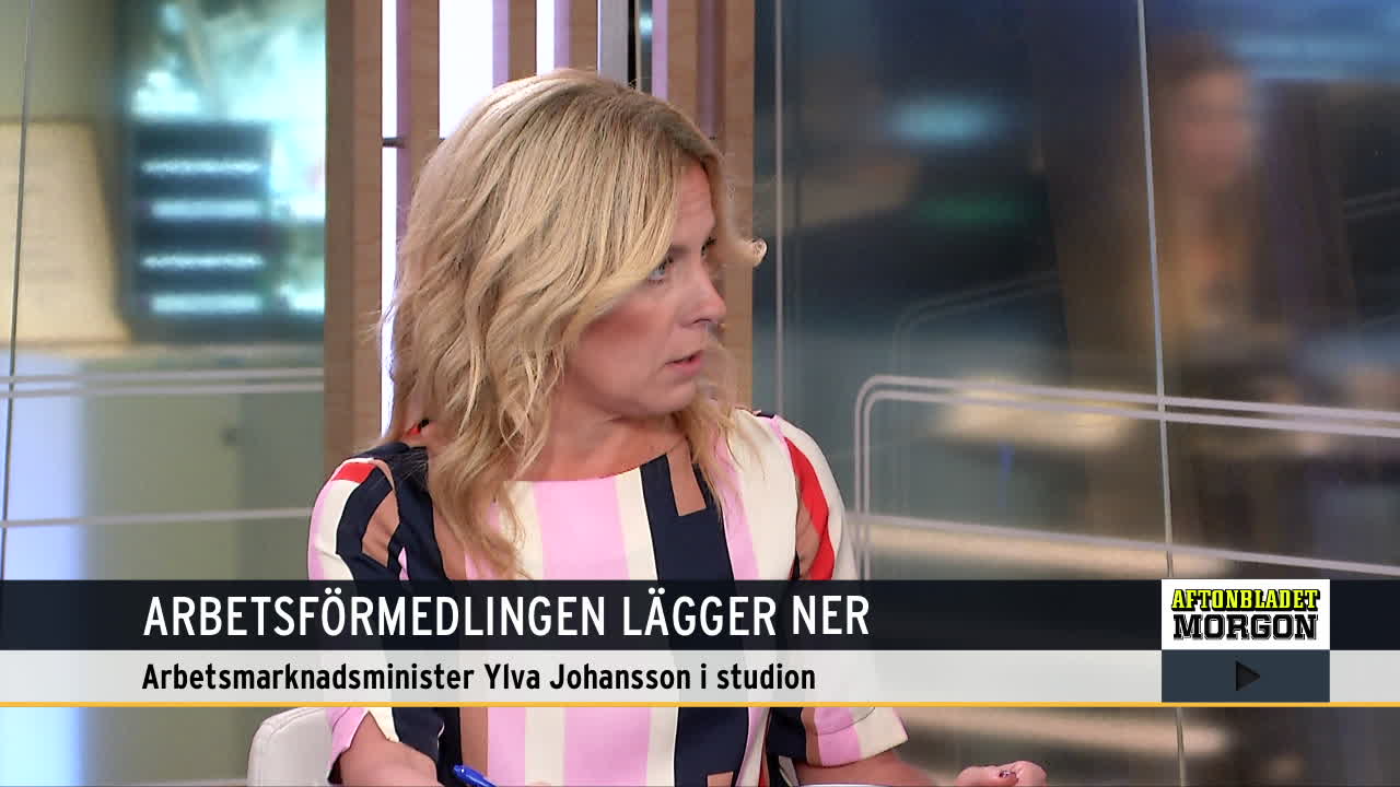 Ylva Johansson om nya Arbetsförmedlingen: Risk för oseriösa aktörer