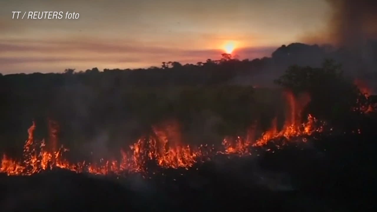 Bolsonaro vill stoppa bilder av regnskogsskövlingen