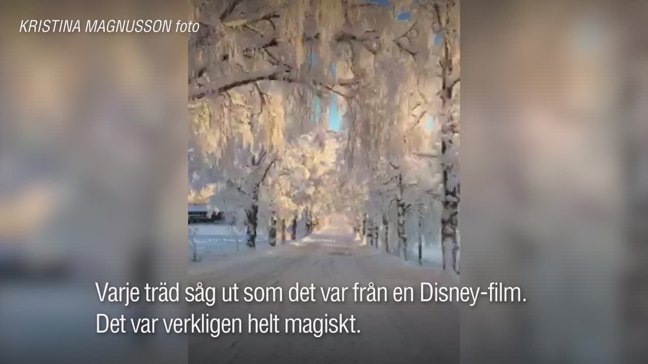 Här är svenska vinterlandskapet som tagit världen med storm