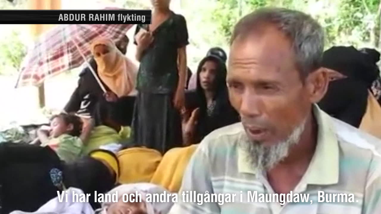 ”Lever i svält för att inte bli ihjälskjuten”