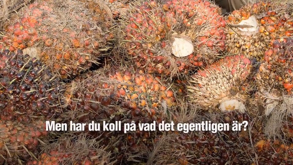 Det här är palmolja