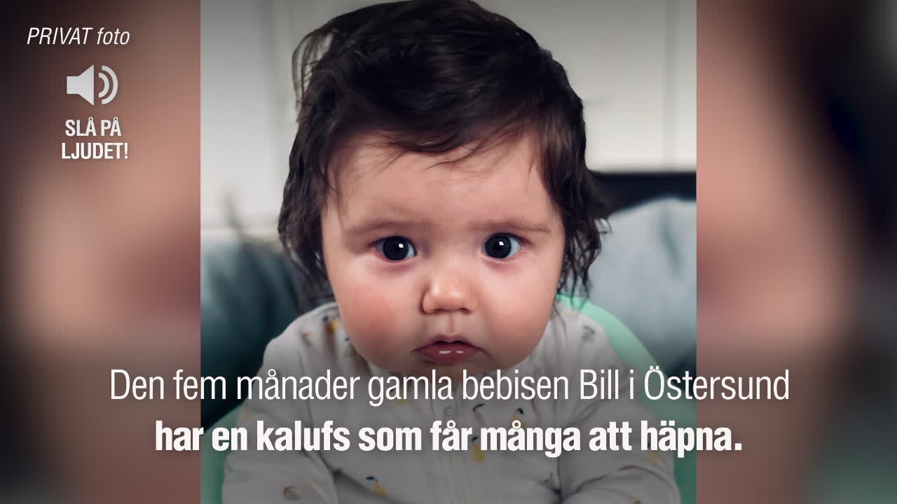 Är Bill Sveriges hårigaste bebis?