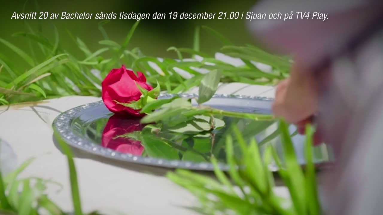 Hon fick sista rosen i ”Bachelor”