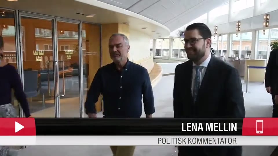 Åkesson och Björklund håller gemensam pressträff