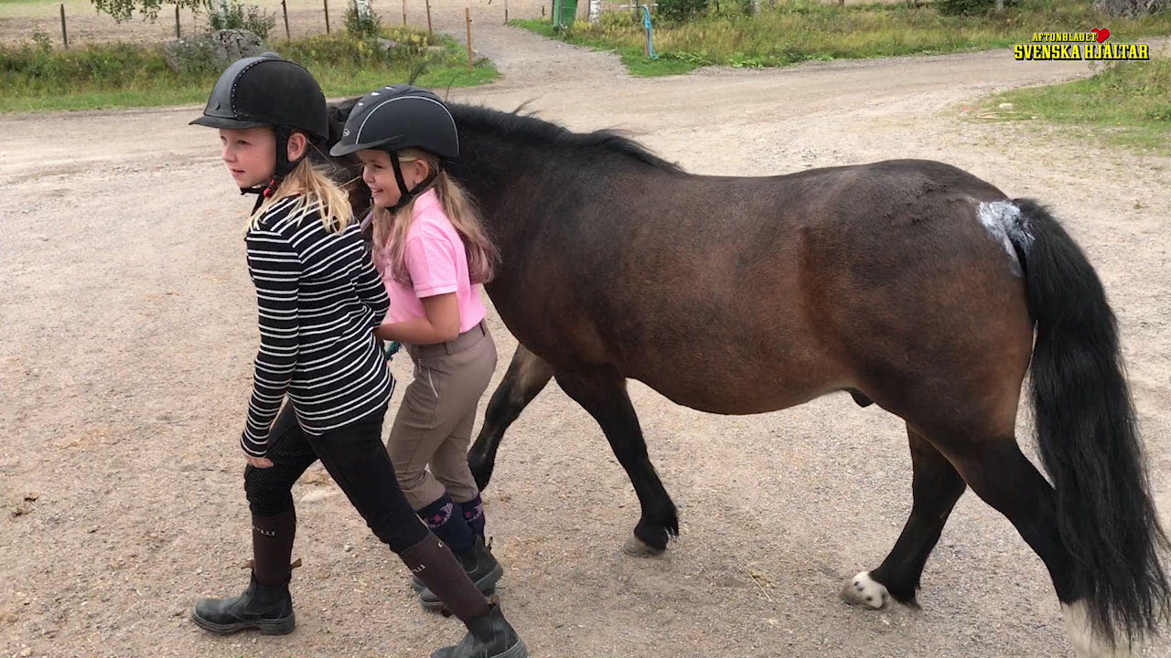 Ponnyn Storm räddade Stina, 9, ur depression