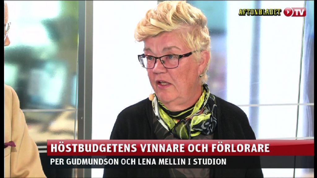 Lena Mellin om budgetens vinnare och förlorare