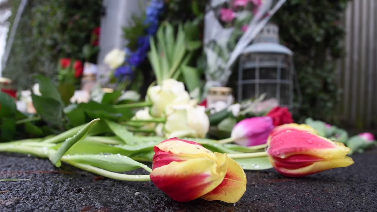 Uppgifter: Ska ha sökt vård för döttrarna i Tyskland